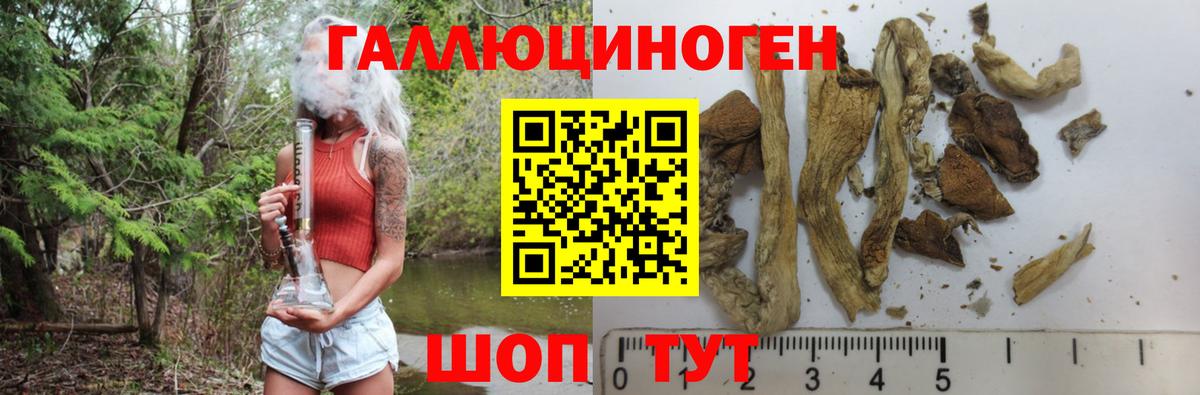 Псилоцибиновые грибы GOLDEN TEACHER  Псилоцибиновые грибы MAGIC MUSHROOMS  Вход с VPN  Минеральные Воды 